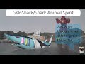 GekiShark Shark Animal Spirit Minipla Review