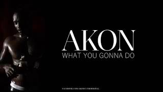 Akon - What You gonna Do