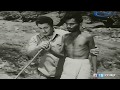 Thirudathe Paappa Thirudathe Song HD Kaalathai Vendravan
