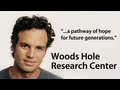 Woods Hole Research Center - A Pathway of Hope for Future Generations