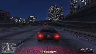 久しぶりにGTA5やってみた♪