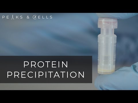 Protein Precipitation (UPDATED)