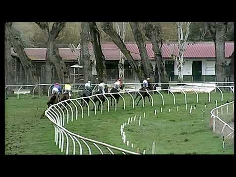 Napoli Galoppo 09/02/2021 - 3ª corsa