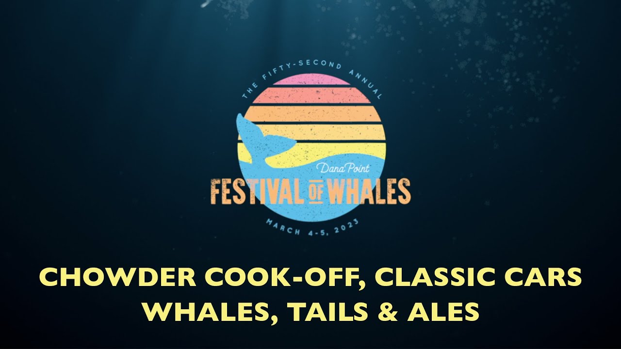 Festival of Whales