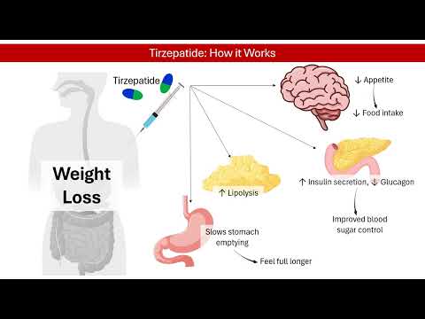 Tirzepatide: How Does It Work for Weight Loss? │ Pharmacology