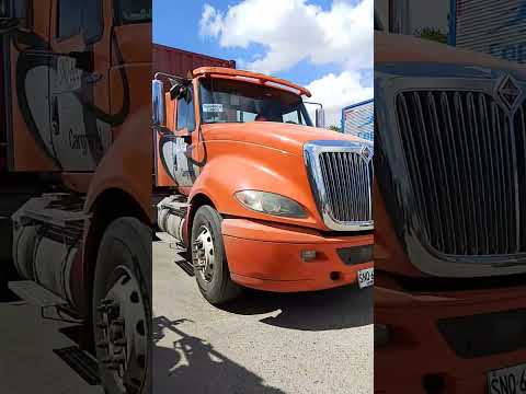 desde plató magdalena tran mintiendo la motivación de los traspotadores