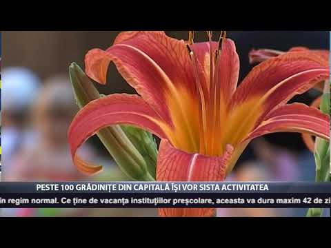 Peste 100 de grădinițe din Capitală își vor sista activitatea