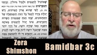 Zera Shimshon Bamidbar #3(c) 5785 - Rabbi Zvi Kahn