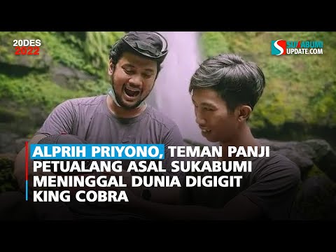 Alprih Priyono, Teman Panji Petualang Asal Sukabumi Meninggal Dunia Digigit King Cobra