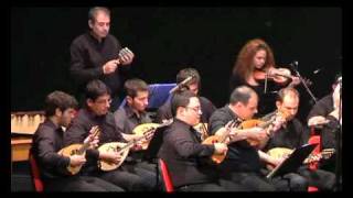 021 Rumba - Dieter Kreidler