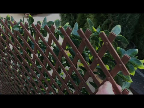 Lowes Trellis