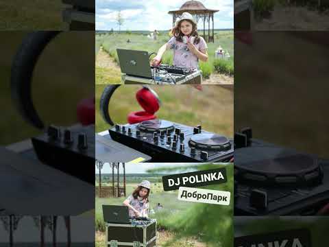 DJ Polinka - Квітка душа (Ніна Матвіенко Remix) в Добропарк