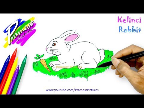 Search Result Youtube Video Kelinci Rabbit Belajar Menggambar Mewarnai Gambar