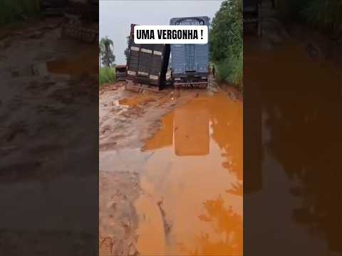 Uma vergonha! #shorts#videosshorts#shortsviral