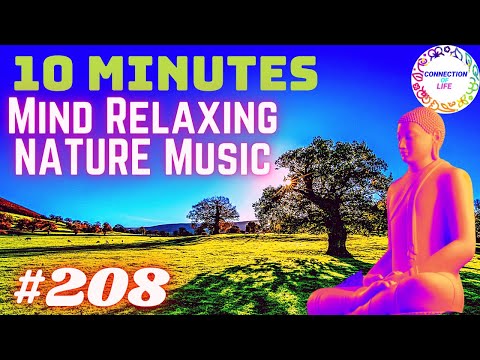 10  Minutes Morning Instant Positive Energy Nature Music | Peaceful Mind Relaxing Music #208