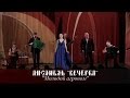 Ансамбль Вечёрка - Молодой агроном 