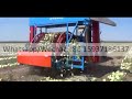 Winter Melon Seed Removing Machine Pumpkin Seeds Extracting Machine Watermelon Seed Processing