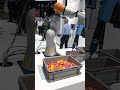 Robot Picking And Placing Starburst Candies At Promat