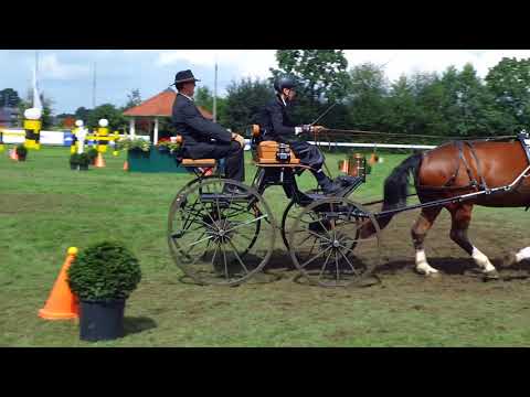 Fahrturnier Ostenfelde 19.8.2017