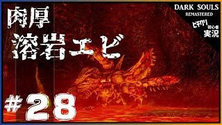 【実況】#28 ダークソウル リマスタード 「久々のソラール君」-- DARK SOULS REMASTERED --