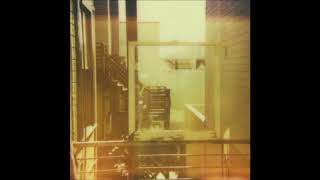 Painted Palms - Click