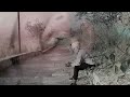 Love Mocktail 2 Feeling Dialogue WhatsApp Status