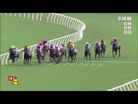 12/6/2022 (744) Leather Vanguard - Z Purton