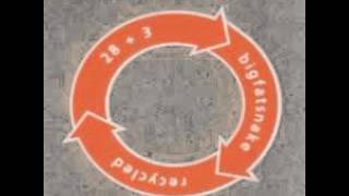 Big Fat Snake   Howling at the moon