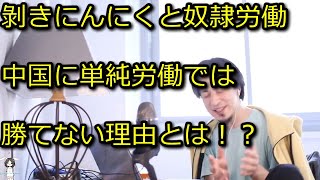 【ひろゆき】ユニクロの奴隷労働はもうすぐ終わる【思考】