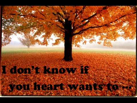 Shahrzad moments ( english lyrics)  شهرزاد لحظه ها