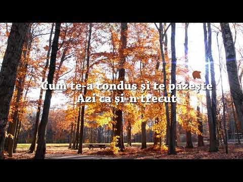 Unisong - Priveste la Isus (lyrics)