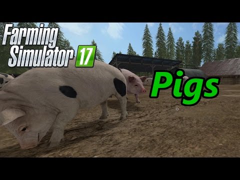 Farming Simulator 17 Tutorial | Pigs