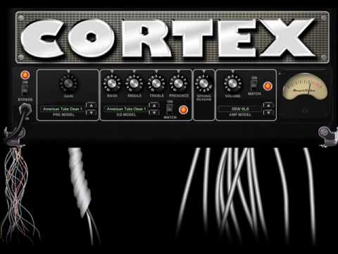 Cortex Vs BrainBokka - The Unborn