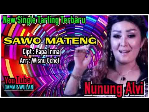 SAWO MATENG - Vocal NUNUNG ALVI || NEW SINGLE TARLING LAGU TERBARU 2019 2020