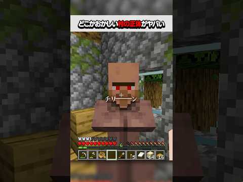 どこかおかしい村の正体がやばい　#マイクラ