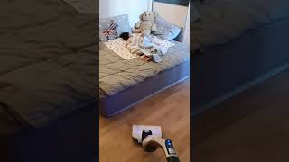 깨면 큰일이다..큰일이야.. 오잉!?  하이제로 NO편집 리뷰영상_20200225