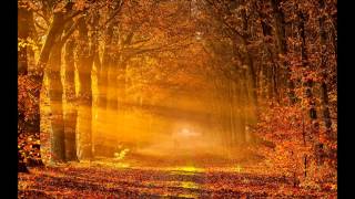 Rene Ablaze Pres. Troxa - Autumn (Trance In Paradise Mix)