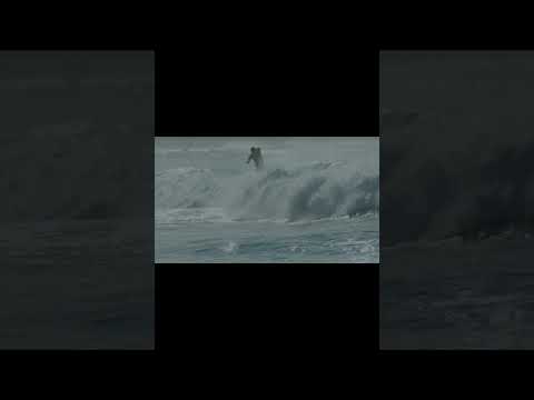 Bondi Sunrise Surf - Mellow Daze