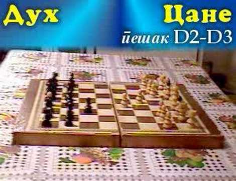 Blaževski plays CHESS with a GHOST / Цане игра ШАХ со ДУХ