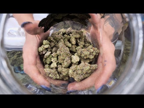 download lagu mp3 mp4 What Does 30 Grams Look Like, download lagu What Does 30 Grams Look Like gratis, unduh video klip What Does 30 Grams Look Like