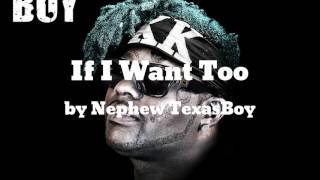 If I Want Too - Nephew TexasBoy