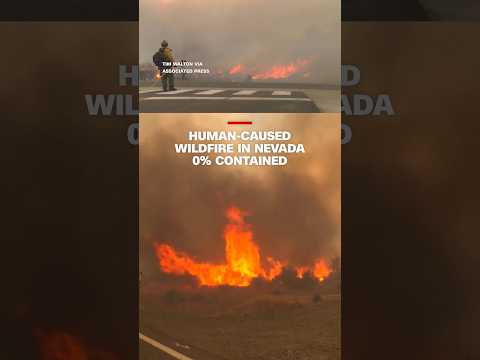 Human-caused wildfire in Nevada 0% contained