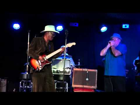 Chick Willis - "Blues Man"