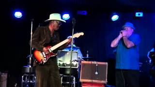 Chick Willis - "Blues Man"