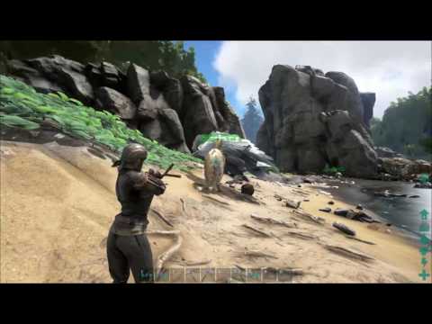 How To Tame A Terror Bird In Ark Survival Evolved