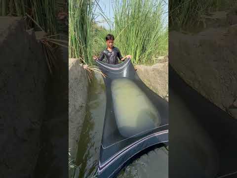 😱🎣🐟#fish #fishcatching #fishcatching #fishingtechniques #fishing