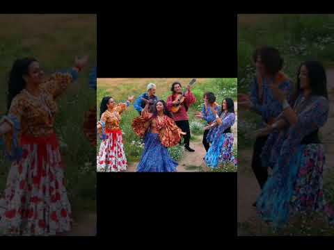 A origem dos Ciganos em 1 minuto. #historia #escola #estudos #shorts #fy #ciganos #cultura