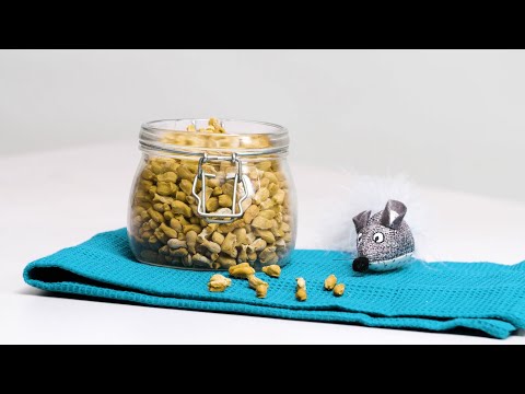 Homemade Cat Biscuit Recipe | Made in Battersea