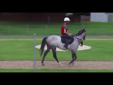 ATC TV: Longines Queen Elizabeth Stakes - Ken Condon 10 Apr 2018