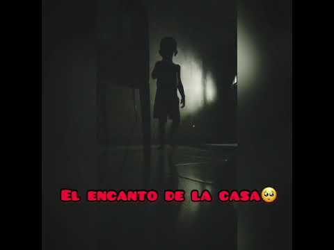 Brama que se fue la luz💡 😉/Thalía cavijo